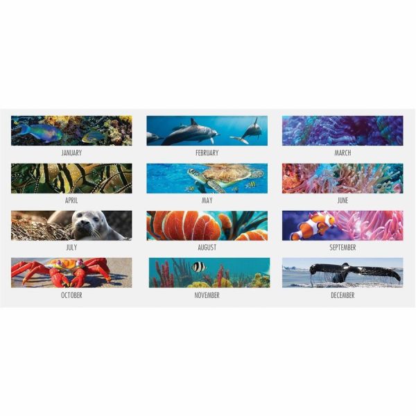 House of Doolittle EarthScapes Sea Life Desk Pads - Julian Dates - Monthly - 12 Month - January 2024 - December 2024 - 1 Month Single Page Layout - 22  x 17  Sheet Size - 2.25  x 3.06  Block - Desk Pad - White - Leatherette, Paper - Holder, Notepad, Online - Image 2
