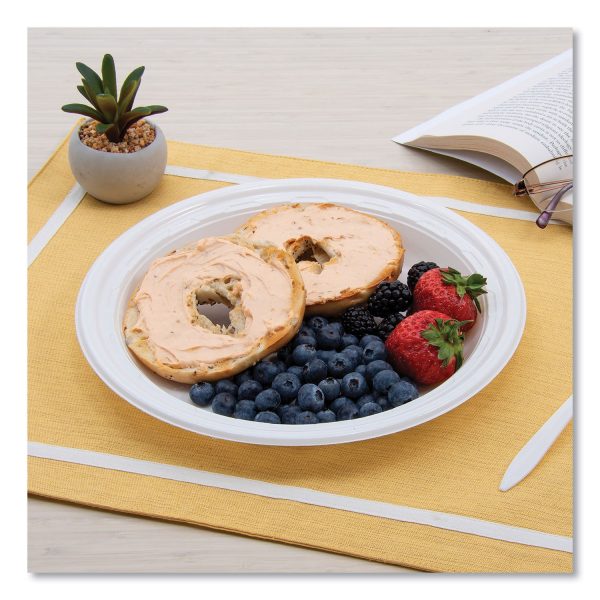 Famous Service Impact Plastic Dinnerware, Plate, 10.25  dia, White, 500 Carton For Discount - Image 4