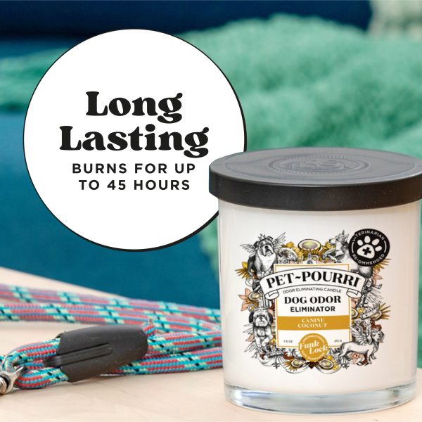 Canine Coconut Candle - Pet~Pourri Candle Hot on Sale - Image 5