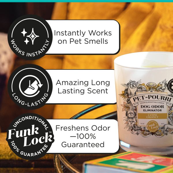 Canine Coconut Candle - Pet~Pourri Candle Hot on Sale - Image 4