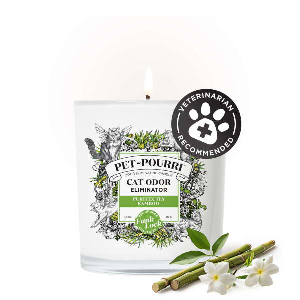 Purrfectly Bamboo Candle - Pet~Pourri Candle Online Hot Sale - Image 2