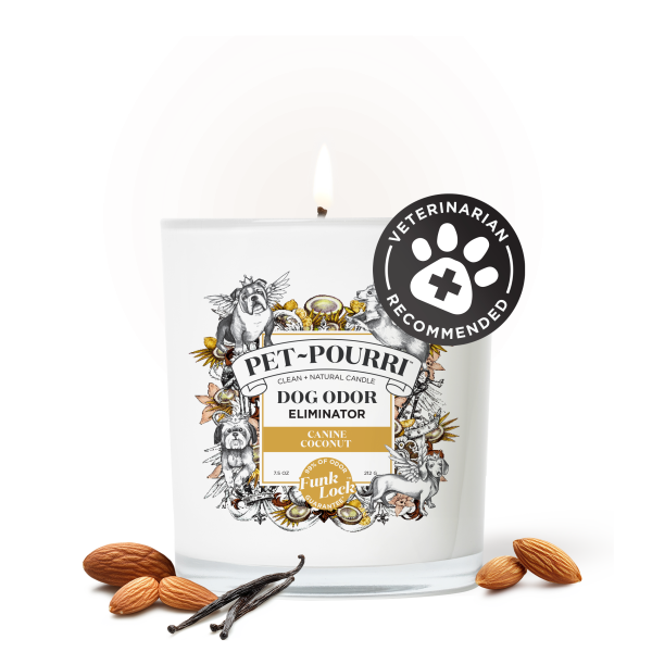 Canine Coconut Candle - Pet~Pourri Candle Hot on Sale - Image 2
