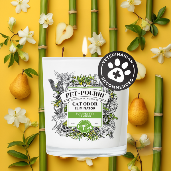 Purrfectly Bamboo Candle - Pet~Pourri Candle Online Hot Sale