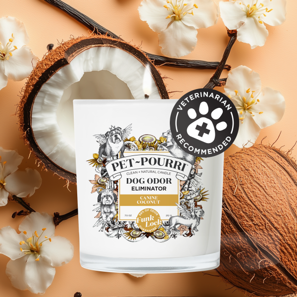 Canine Coconut Candle - Pet~Pourri Candle Hot on Sale