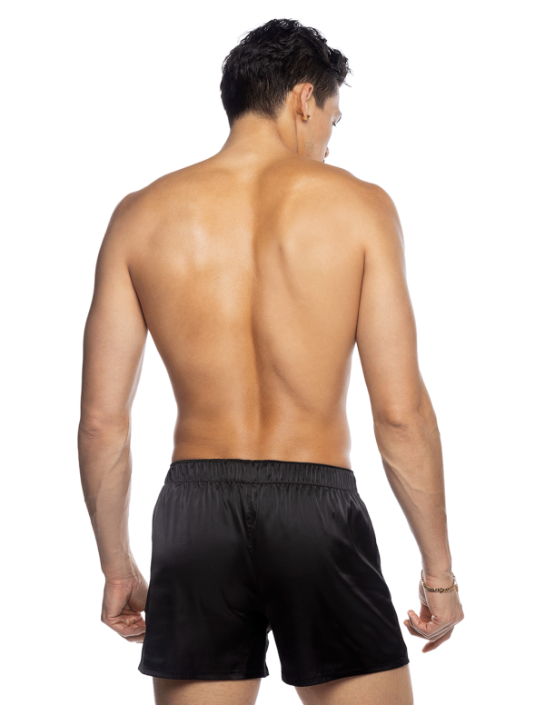 HUSTLER Satin Boxer Hot on Sale - Image 3